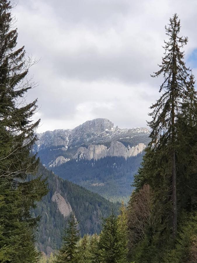 Apart Hotel Center Piatra Neamţ Dış mekan fotoğraf
